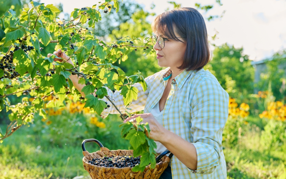 He Swapped IT Startups for a Forgotten Plot Near Valencia — Is Now Growing Blackcurrants in Spain