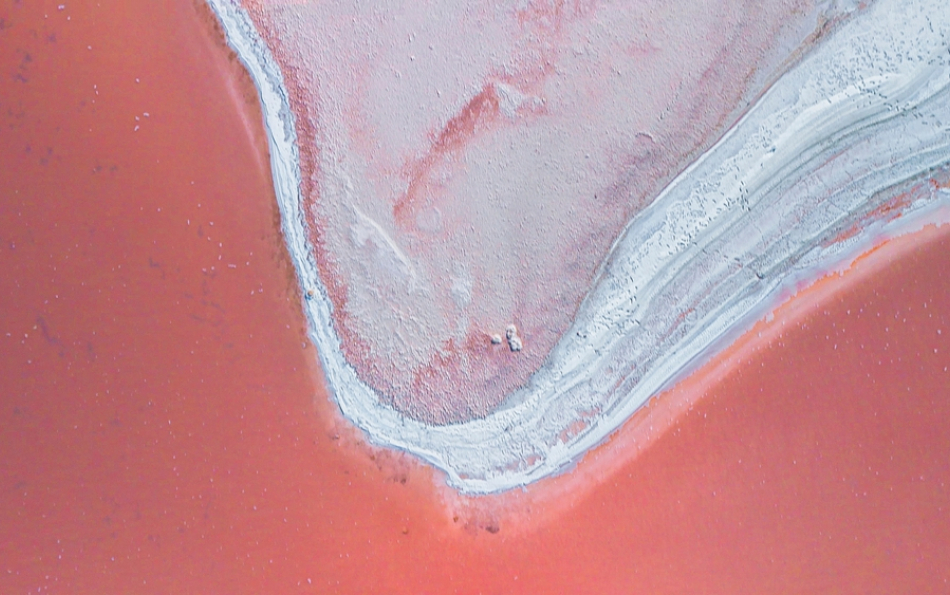 Torrevieja Wants to Open Its Pink Lagoon for Bathing