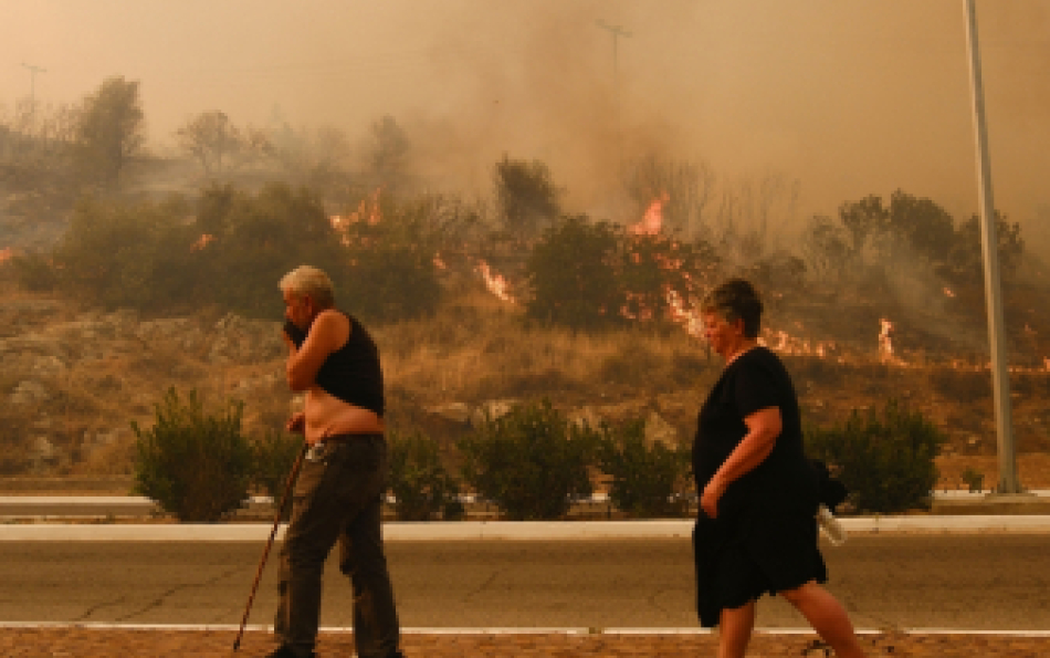 The Scorching Summer of 2025: What It Was, What It Will Lead To, and What to Expect in 2026